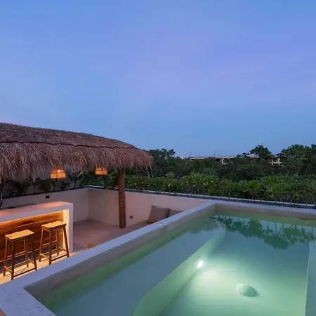 Itza Maya Beach Club Access